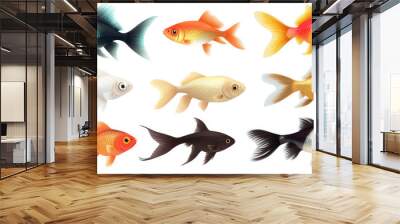 Collection of freshwater aquarium fish with water bubbles and aquatic plants. Wall mural