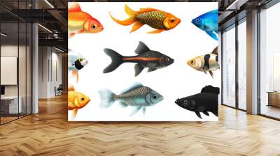 Collection of freshwater aquarium fish with water bubbles and aquatic plants. Wall mural