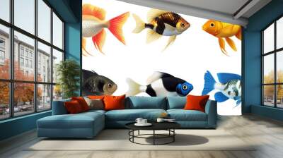 Collection of freshwater aquarium fish with water bubbles and aquatic plants. Wall mural