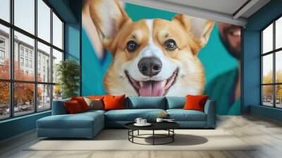 Male vet in scrubs inspecting the teeth of a pembroke welsh corgi while his assistant holds the dog steady, clean clinic environment Wall mural