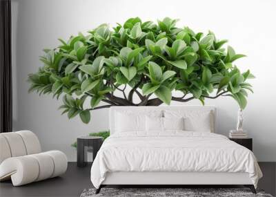 Money tree, 3D illustration, lush foliage, isolated on white background, fantasy, glowing accents Wall mural