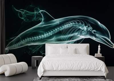 X-ray film of a dolphins fin detailing bone structure and alignment. X Ray Picture With dolphin's Skeleton for Treatment and Diagnosis. Space For Text. Animal Hospitals, Vet. Pet Scan. Wall mural