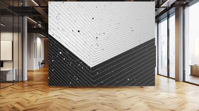 Contrast black and white minimal background with dots and lines. Vector banner design Wall mural