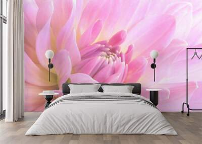 pink flower Wall mural