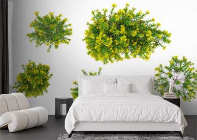 Cut out flower plants nature gardening backgrounds 3d rendering from top view Wall mural