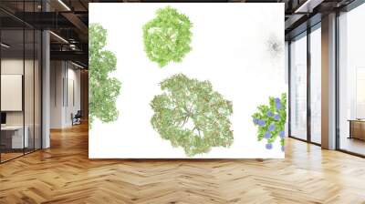 Set of JungleDusty miller,erythrina,Atsia,Hydrangea,Ficus benjamina trees 3D rendering. top view, plan view, for illustration, architecture presentation, visualization, digital composition Wall mural