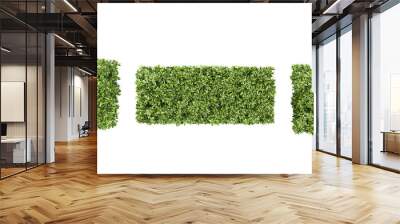 Top view of Grecian bay trees isolated on white background Wall mural