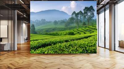 Beautiful landscape of Picturesque tea plantation natural green view. AI generated image Wall mural