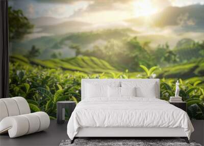 Beautiful landscape of Picturesque tea plantation natural green view. Wall mural