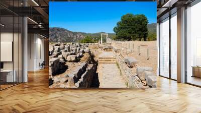 Kaunos ancient city near Dalyan town in Turkey Wall mural