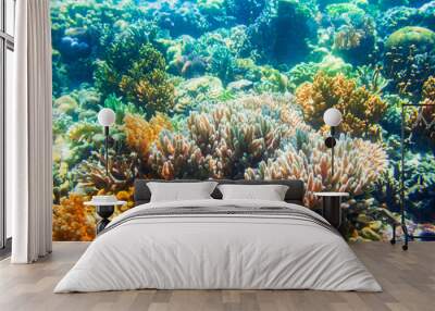 Underwater coral reef tropical landscape Wall mural