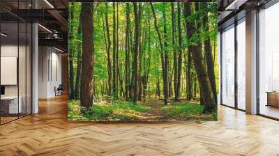 Panorama of a green summer forest Wall mural