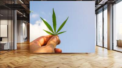 Marijuana leaf in hand on sky background Wall mural