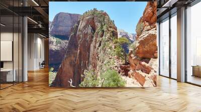 Hiking the Thrilling Angels Landing at Zion National Park Wall mural