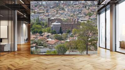 Pergamon's Red Basilica for the Egyptian Pantheon Wall mural