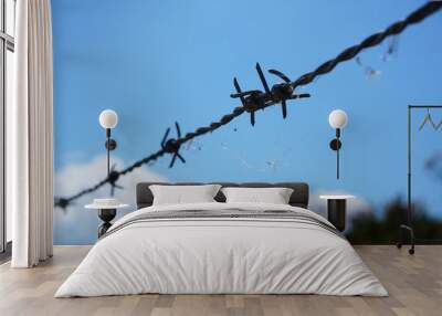 Barbed wire prominent in the picture, restricted area, no entry, shows a boundary. Wall mural