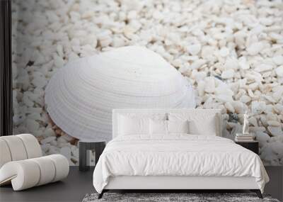 Seashells Wall mural