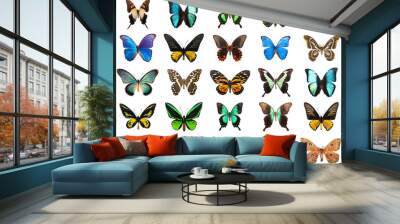 Tropical butterflies Wall mural