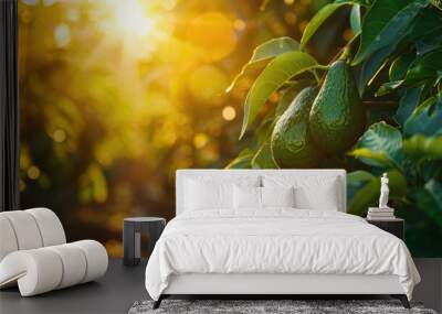 Ripe avocados, their pear shaped bodies glistening in the warm light of the setting sun as they hang from a tree branch. Fresh fruits concept. Wall mural