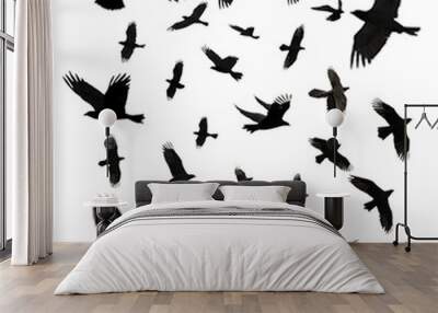 Set of flying crows silhouette isolated on transparent background, PNG Wall mural