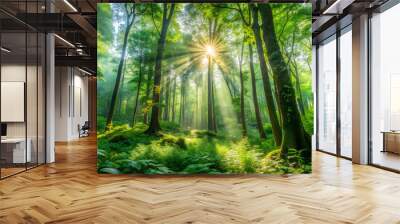 serene forest with sunlight filtering through lush green trees Wall mural