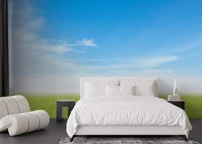 grass field Wall mural