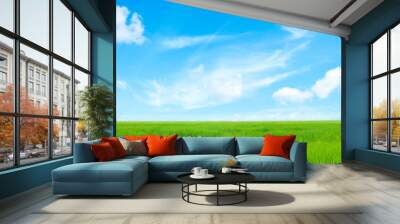 grass field Wall mural