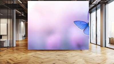 Gorgeous untamed blooms Close-up macro of chamomile, purple wild peas, and butterfly in morning mists in the outdoors. Beautiful, breezy, pastoral artistic image. Wall mural