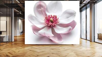 A magnolia bloom, elegant element, hyper-detailed, white and pink, isolated on white background Wall mural