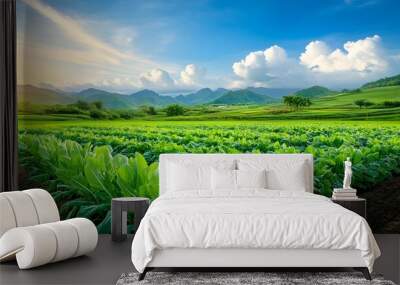 Organic vegetable farming in a sustainable agricultural field. Wall mural