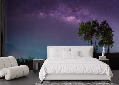 The milky way in night sky. Wall mural