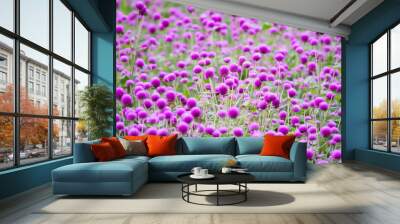 A field of purple flowers with many different types of flowers. The flowers are in full bloom and are very colorful Wall mural