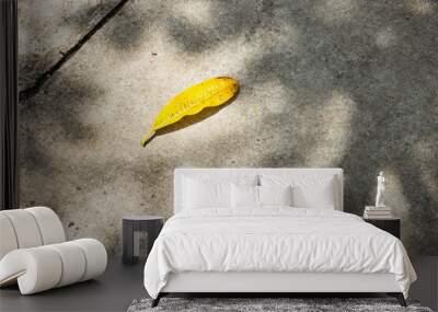 A leaf is laying on the ground, casting a shadow. The leaf is yellow and he is dried up Wall mural