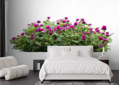 flower bush tree isolated with clipping path Wall mural