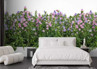 flower plant bush tree isolated with clipping path on white background Wall mural