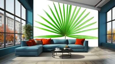 Palm Tree Leaf Isolated Wall mural