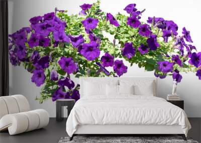 Purple Flower Shrubbery Isolated Wall mural