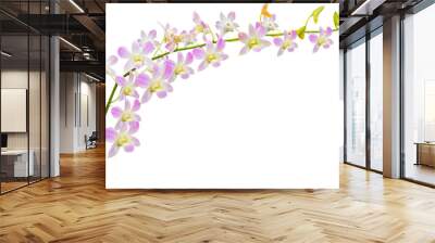 Purple Orchids Flowers Isolated Wall mural