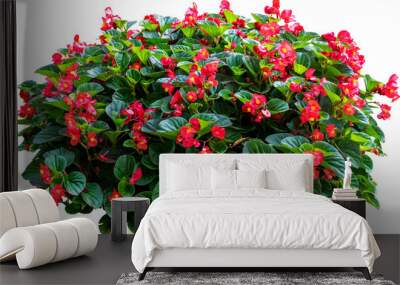 Red Flower Shrubbery Isolated Wall mural