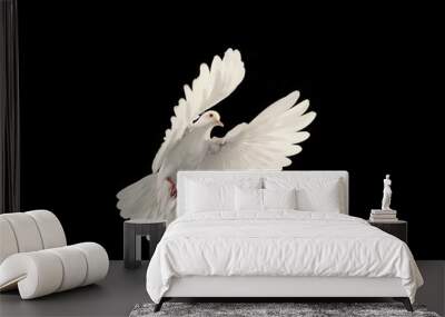 White dove flying on black background and Clipping path .freedom concept and international day of peace Wall mural