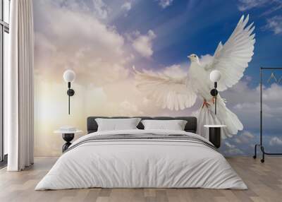 white dove flying on sky in beautiful light for freedom concept Wall mural