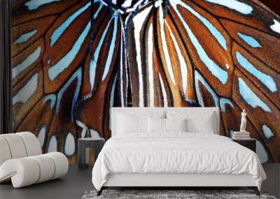 close up of beautiful butterfly wing as background Wall mural