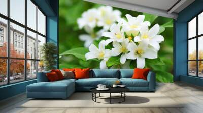 close up of beautiful orange jasmine flower Wall mural