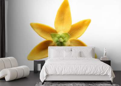 ylang ylang flower isolated on white background. Wall mural