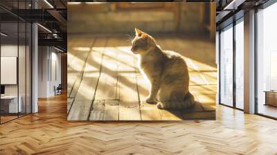 A golden cat sits on a wooden floor bathed in warm sunlight, showcasing a cozy and peaceful home interior.  Wall mural