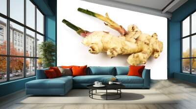 Fresh ginger root or rhizome isolated on white background, Ingredients of herbs for healing and healthy food or Natural therapy concept	 Wall mural