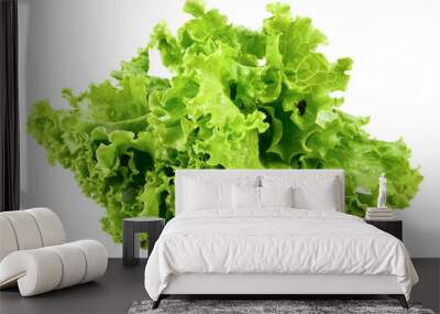 Fresh lettuce isolated on a white background,element of food healthy nutrients and herb vegetable ingredient concept  Wall mural