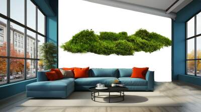 Green moss on white background Wall mural