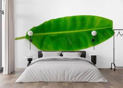 Tropical green banana leaf isolated on white background Wall mural