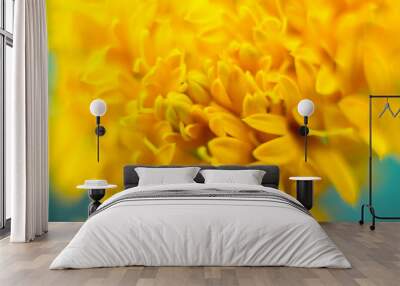 petal of yellow marigold flower Close-up Wall mural